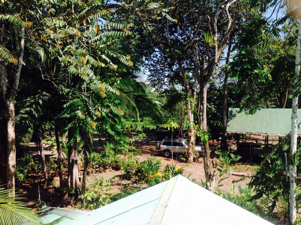 Puerto Jiménez Casa Manglar Villa מראה חיצוני תמונה